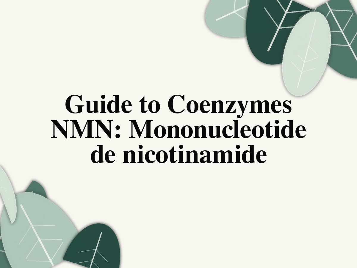 Guide to Coenzyme NMN: Mononucleotide de nicotinamide