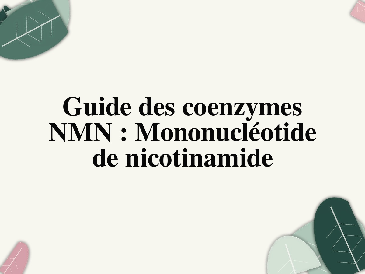 Guide du coenzyme NMN: nicotinamide mononucléotide